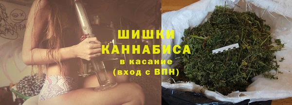 ГАЛЛЮЦИНОГЕННЫЕ ГРИБЫ Няндома