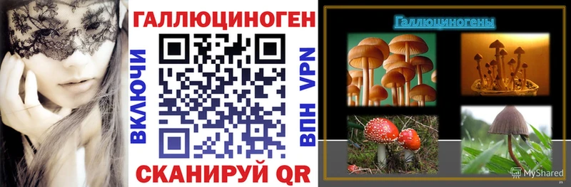 Галлюциногенные грибы MAGIC MUSHROOMS  Фокино 