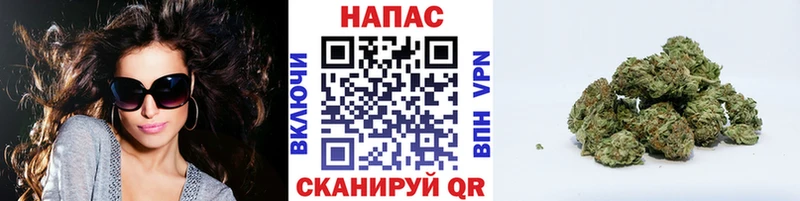 что такое наркотик  Фокино  Канабис SATIVA & INDICA 